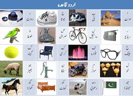 英和画像辞典：(urdu language)の意味は画像で解説！見るだけで「urdu language」の意味が分かる・覚えられる 