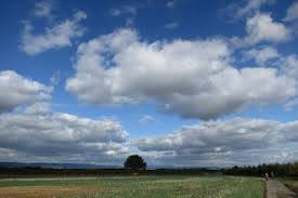 News source: jatimnow.com