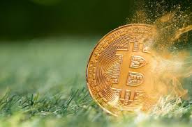$219,000 to $60,000: Investor's MSTR Bet for Kids Takes a Big Hit, but Bitcoin Bull Michael Saylor Isn't