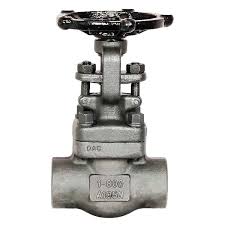 Warren 851SE34 Gate Valve