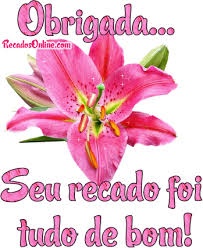 Resultado de imagem para imagens de obrigado