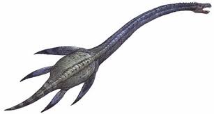 Hasil gambar untuk Plesiosaurus