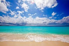 Image result for beach