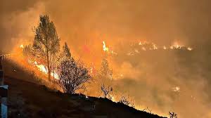 incendio guadalajara la mierla