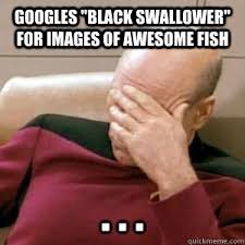 Image result for Chiasmodon niger