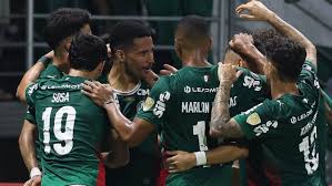 Palmeiras deve perder mais de 7 mil lugares para jogo contra a LDU na Libertadores