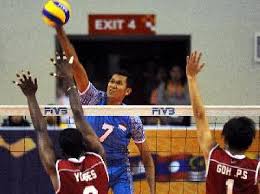 Hasil gambar untuk volly