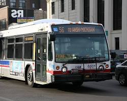 Image of Chicago bus