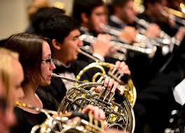 Image result for orchestra