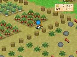 Hasil gambar untuk download game harvest moon back to nature pc