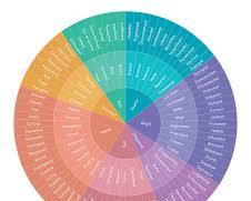 Image of Feelings Wheel