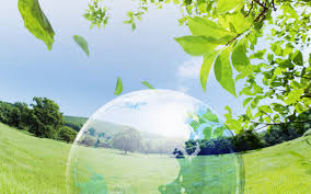 Resultado de imagen para imagenes medio ambiente