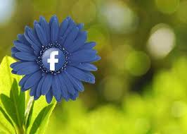 Image result for bangla funny comments
