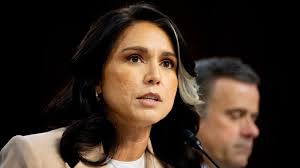 Tulsi Gabbard Accused of Stalling Complaint