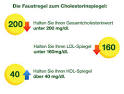Hypercholesterinämie - Erhöhter Cholesterinspiegel