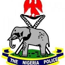 Image result for nigerian police