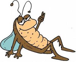 Resultado de imagem para barata