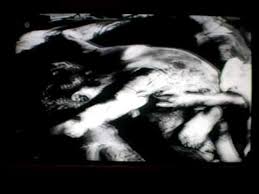 Résultat de recherche d'images pour "nazi mass grave"