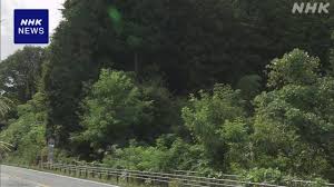 NHK - News update