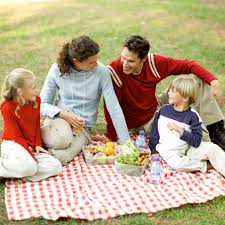 Image result for pic nic