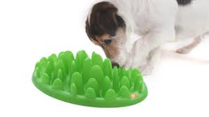 Afbeeldingsresultaat voor voederbal hond