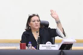 INE sesionará esta tarde para definir la conformación de los nuevos partidos políticos