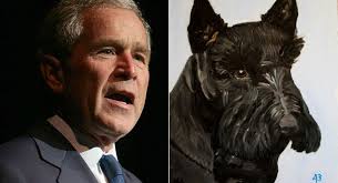 By NATALIE VILLACORTA | 2/25/14 6:12 AM EST. Former President George W. Bush will make his formal debut as an artist this spring. - bush_painting_comp_ap_courtesy_605