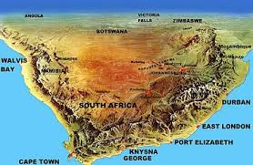 Image result for suid afrika nasionale simbole