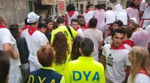 diariodenavarra.es - News update