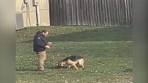 Local man shown in viral video charged in animal cruelty case