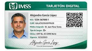 Imss Digital