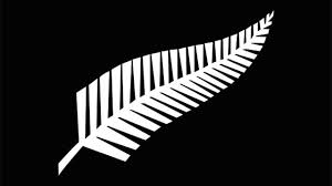 Image result for flag change nz