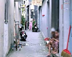 Báo Tuổi Trẻ - News update