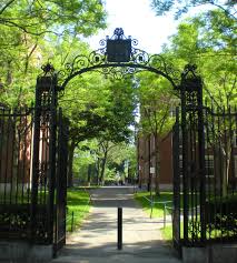 Image result for images harvard yard