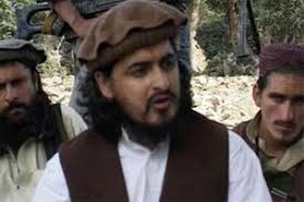 Ihsanullah Ihsan. The Pakistani Taliban have described the government as &quot; ... - M_Id_308136_Ihsanullah_Ihsan