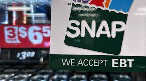 Georgia 15.2% SNAP error rate prompts state action, system adjustments