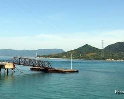 大久野島 釣船の画像