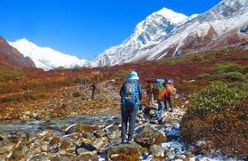 Image result for sikkim images