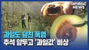 박완수