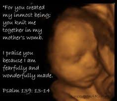 Baby Bible Verses on Pinterest | Pregnancy Announcements, Bible ... via Relatably.com