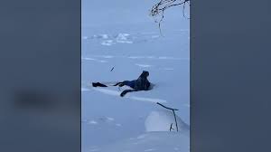 Tourist attacked by snow leopard trying to take a photo