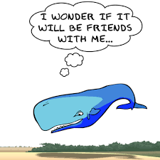 Whale Image Quotation #1 - QuotationOf . COM via Relatably.com