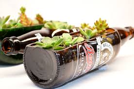 Image result for bottle garden