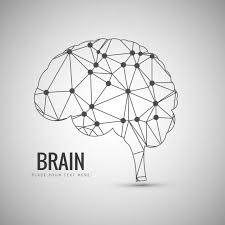 Image result for free image of the brain