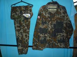 Résultat de recherche d'images pour "polish puma camo"