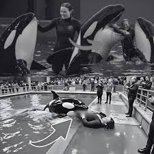 SAD NEW : The terrifying final moments of the Golden Coach…See more