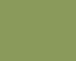 Image of Sage Green color