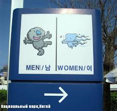 Картинки по запросу MARAQLI TEMA