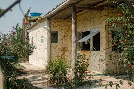 Donos de casas com mato ao redor podem ter imóvel invadido pela prefeitura nos próximos meses