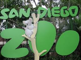 Image result for san diego zoo